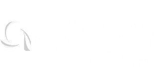 acelan logo